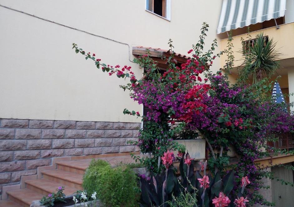 알게로 Al 32 Y 3 B&B 외부 사진